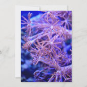 エレガントなネイビーコーラルリーフス ナウティカルコーストウェディング セーブザデート (裏面)