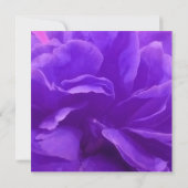 エレガントなパープルラズベリーの花のSave The Date 招待状 (裏面)