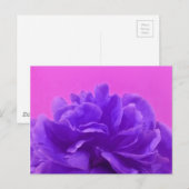 エレガントなパープルラズベリーの花 ポストカード (正面/裏面)