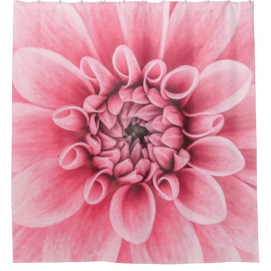 エレガントなピンクのダリアのアートワーク|のシャワー・カーテン シャワーカーテン (正面)