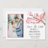 エレガントなピンクの桜の花の写真,  セーブザデート (正面)