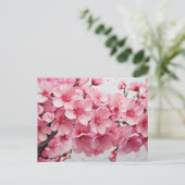エレガントなピンクの桜の花 ポストカード (スタンド正面)