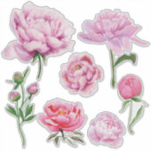 エレガントなピンクの芍薬 シール (正面)