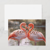 エレガントなフラミンゴのラブ・セーブ・ザ・デート・テンプレート セーブザデート (正面/裏面)