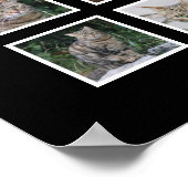 エレガントなブラックペットのポスター 12枚の写真スロット付き ポスター (角)