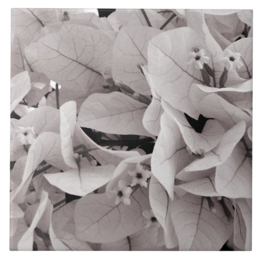 エレガントなブーゲンビリアのヴィンテージのスタイルの花柄パターン タイル (正面)