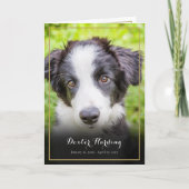 エレガントなペットの喪失お悔やみ写真 サンキューカード (正面)