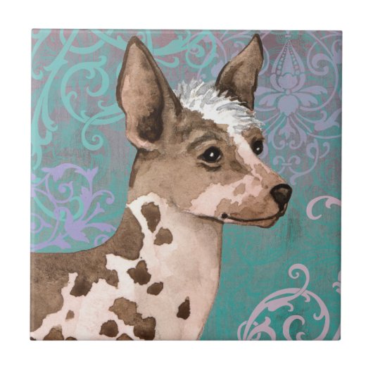 エレガントなペルーのインカ人の蘭 タイル (正面)