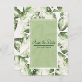 エレガントなホワイトとグリーンのトロピカルリーフでSave the Date 案内ポストカード (正面/裏面)
