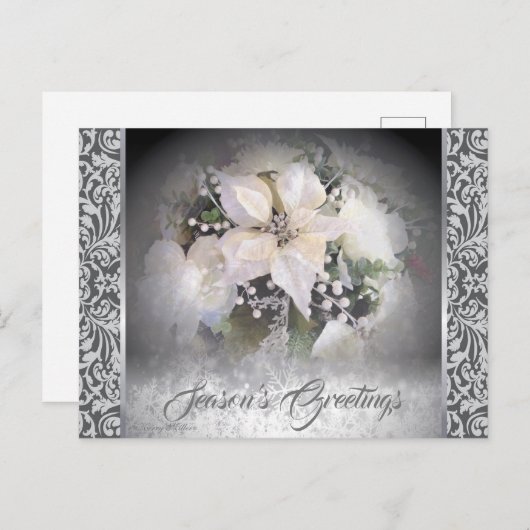 エレガントなホワイトクリスマスポインセチア ポストカード (正面/裏面)