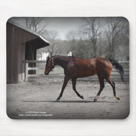 エレガントなマウスパッド マウスパッド (正面)