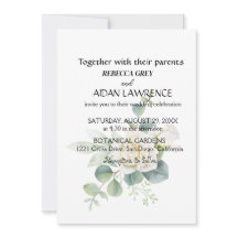 エレガントなユーカリの植物写真