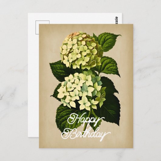 エレガントなヴィンテージのハイドランジアの花 ハッピーバースデー ポストカード (正面/裏面)