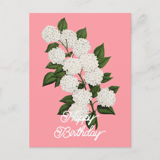 エレガントなヴィンテージ日本雪花ハッピーバースデー ポストカード (正面)