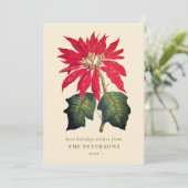 エレガントなヴィンテージ植物イラストのポインセチアの花 シーズンカード (スタンド正面)