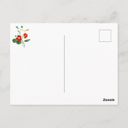 エレガントなヴィンテージ植物画の花 ナスターチウム ポストカード (裏面)