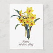 エレガントなヴィンテージ植物画の黄色の水仙 ポストカード (正面)