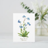 エレガントなヴィンテージ植物画 ワスレナグサ ポストカード (スタンド正面)