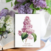 エレガントなヴィンテージ植物画 紫色のライラックの花 カード