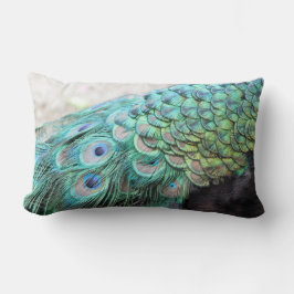 エレガントな孔雀は腰神経の装飾用クッションに羽をつけます ランバークッション