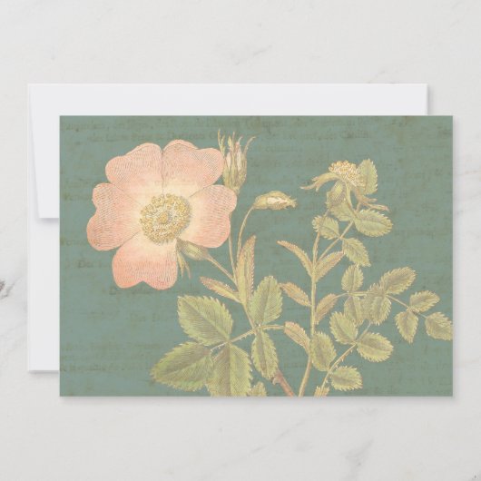 エレガントな庭師の60歳の誕生日 ヴィンテージ・ローズ 招待状 (裏面)