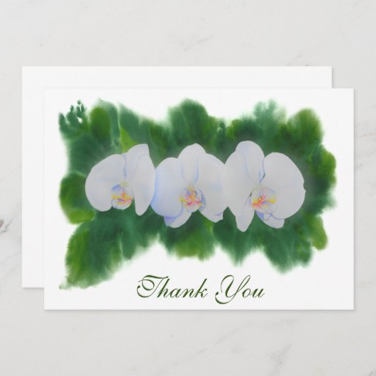 エレガントな水彩画の白い熱帯性蘭の花 (正面/裏面)