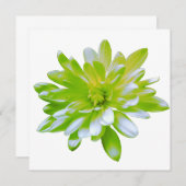 エレガントな淡いソフトグリーンの花 招待状 (正面/裏面)