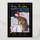 エレガントな犬の雪のペット写真ホイル クリスマスカード 箔シーズンカード (正面)