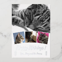 エレガントな猫の写真コラージュ シルバーフォイル ホリデーカード