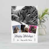 エレガントな猫の写真コラージュ シルバーフォイル ホリデーカード 箔シーズンカード (立ち正面)