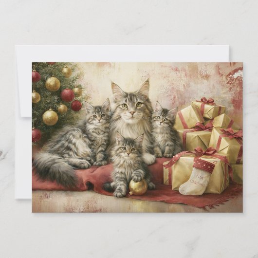 エレガントな猫の子猫のクリスマス シーズンカード (正面)