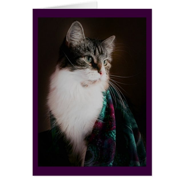 エレガントな猫の空白のなカード (正面)