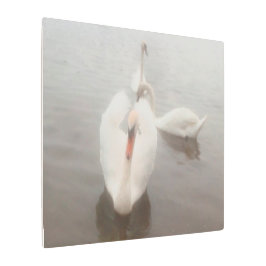 エレガントな現代の水彩画アート ドナウ川のスワン メタルプリント