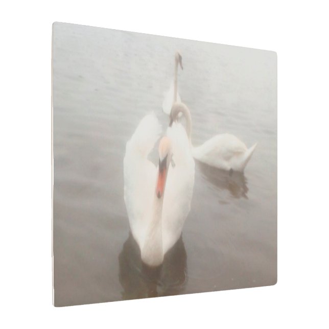 エレガントな現代の水彩画アート ドナウ川のスワン メタルプリント (アングル)