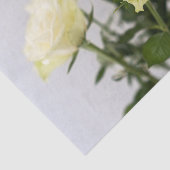 エレガントな白いバラと緑の茎の写真 薄葉紙 (詳細)