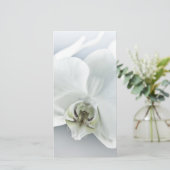 エレガントな白い蘭の植物画 シーズンカード (スタンド正面)