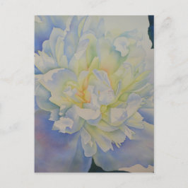 エレガントな白と黄色の芍薬の花の水彩画 ポストカード