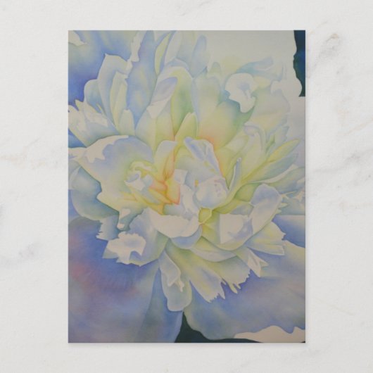 エレガントな白と黄色の芍薬の花の水彩画 ポストカード (正面)