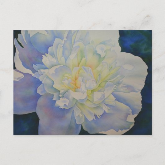 エレガントな白と黄色の芍薬の花の水彩画 ポストカード (正面)