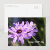 エレガントな紫色のデイジーの花 お誕生日おめでとう ポストカード (正面/裏面)
