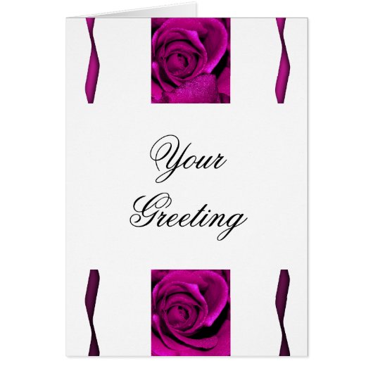 エレガントな紫色のバラのバラ (正面)