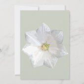  エレガントな花のウェディング招待状（白いコーラルリリーのデザイン） 招待状 (裏面)