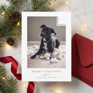 エレガントな赤いかわいい犬の写真のクリスマスカード シーズンカード