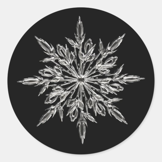 エレガントな雪の結晶 クリスマス 封筒 シール (正面)