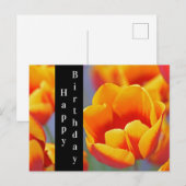 エレガントな黄色と赤のチューリップの誕生日おめでとう ポストカード (正面/裏面)