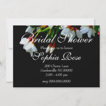 エレガントな黒と白の花を咲かせる白い花