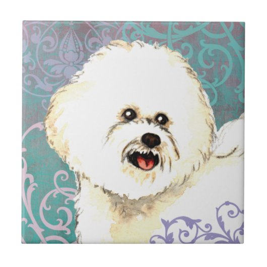 エレガントなBichon Frise タイル (正面)