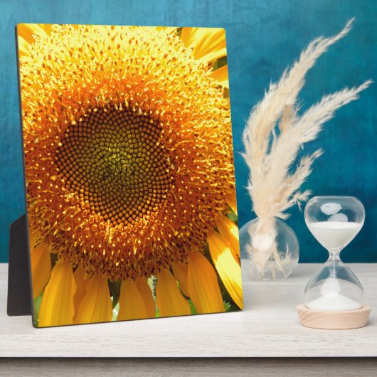 エレガントひまわり写真 フォトプラーク (側面)