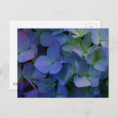エレガントほこりっぽい青紫フローラ ポストカード (正面/裏面)