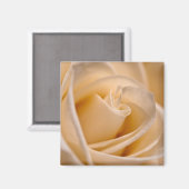 エレガントアイボリーバラ マグネット (正面/裏面)